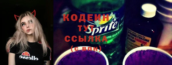 СК Няндома