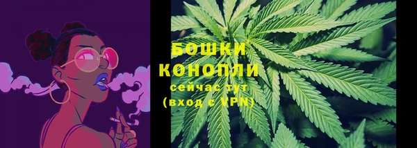 СК Болотное